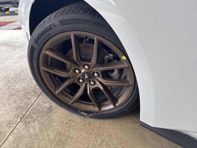 New 2026 Ford Mustang Coupe w/ Bronze Appearance Package image 12