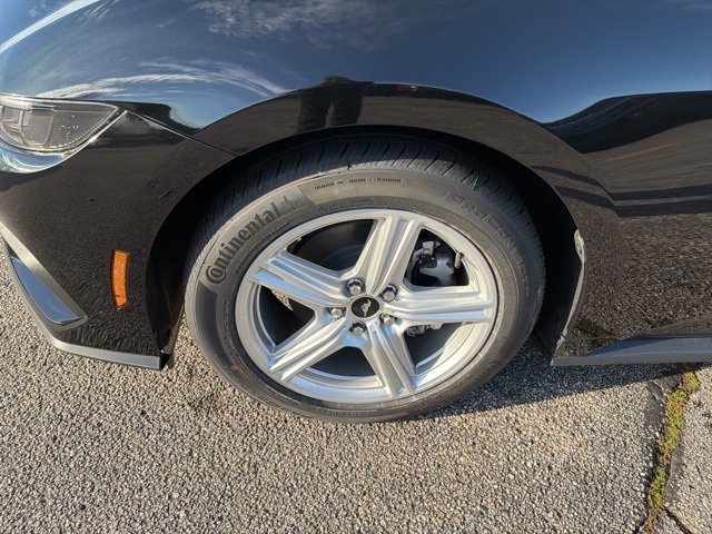 New 2026 Ford Mustang Coupe image 6