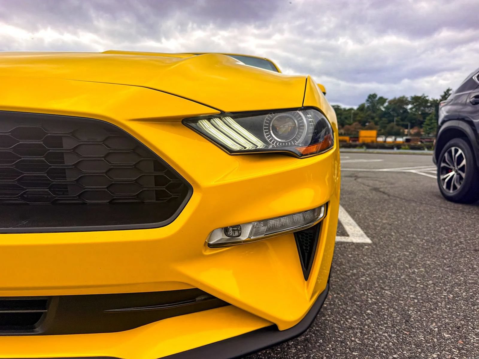 Used 2018 Ford Mustang Premium w/ Equipment Group 201A RWD image 22