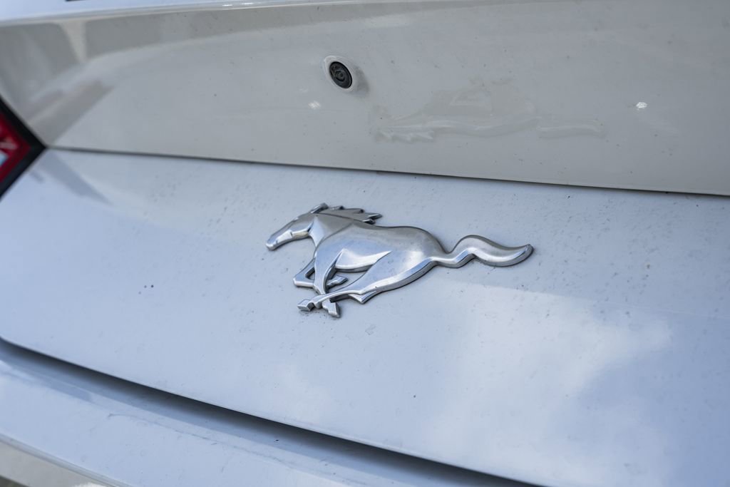 Used 2024 Ford Mustang Premium image 6