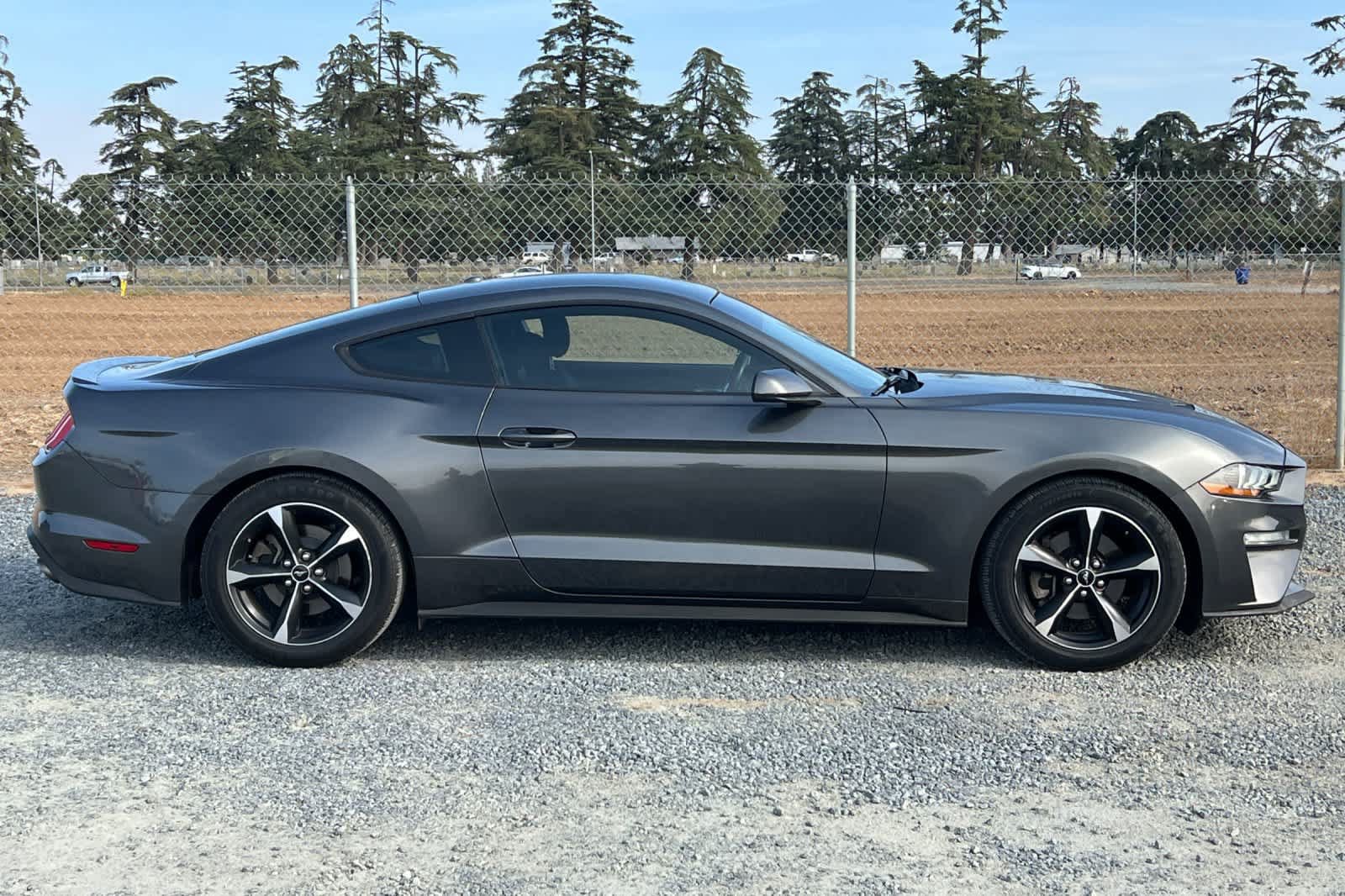 Used 2018 Ford Mustang Coupe w/ Equipment Group 101A RWD image 7