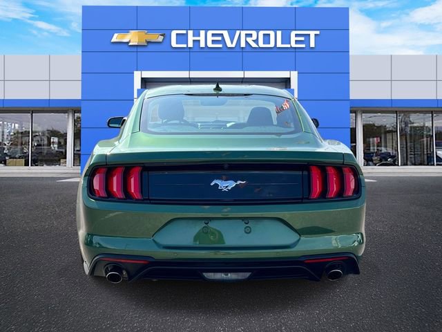 Used 2022 Ford Mustang EcoBoost w/ Equipment Group 101A image 7
