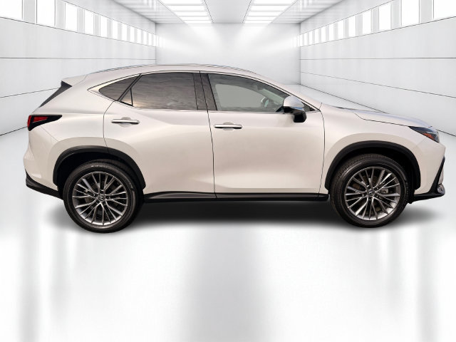 Certified 2024 Lexus NX 350h AWD w/ Vision Package image 4