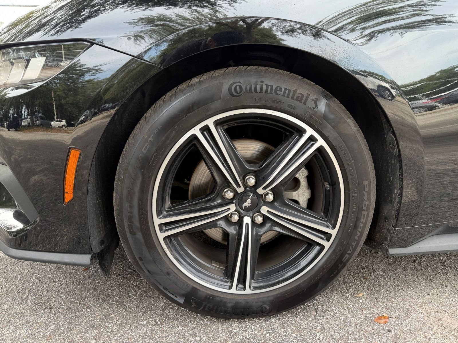 Used 2024 Ford Mustang Premium image 23