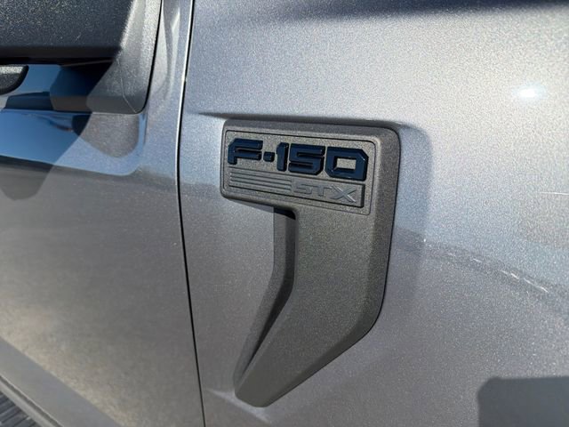 Used 2022 Ford F150 XL w/ STX Black Appearance Package AWD/4WD image 4