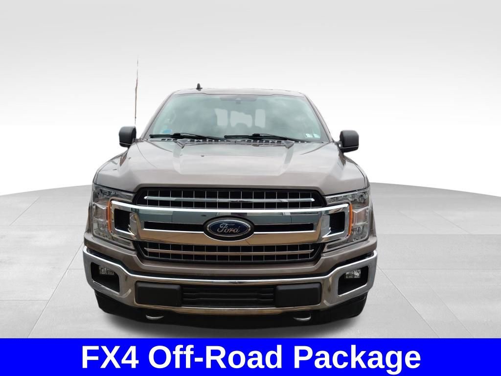 Used 2019 Ford F150 XLT w/ Equipment Group 302A Luxury image 3