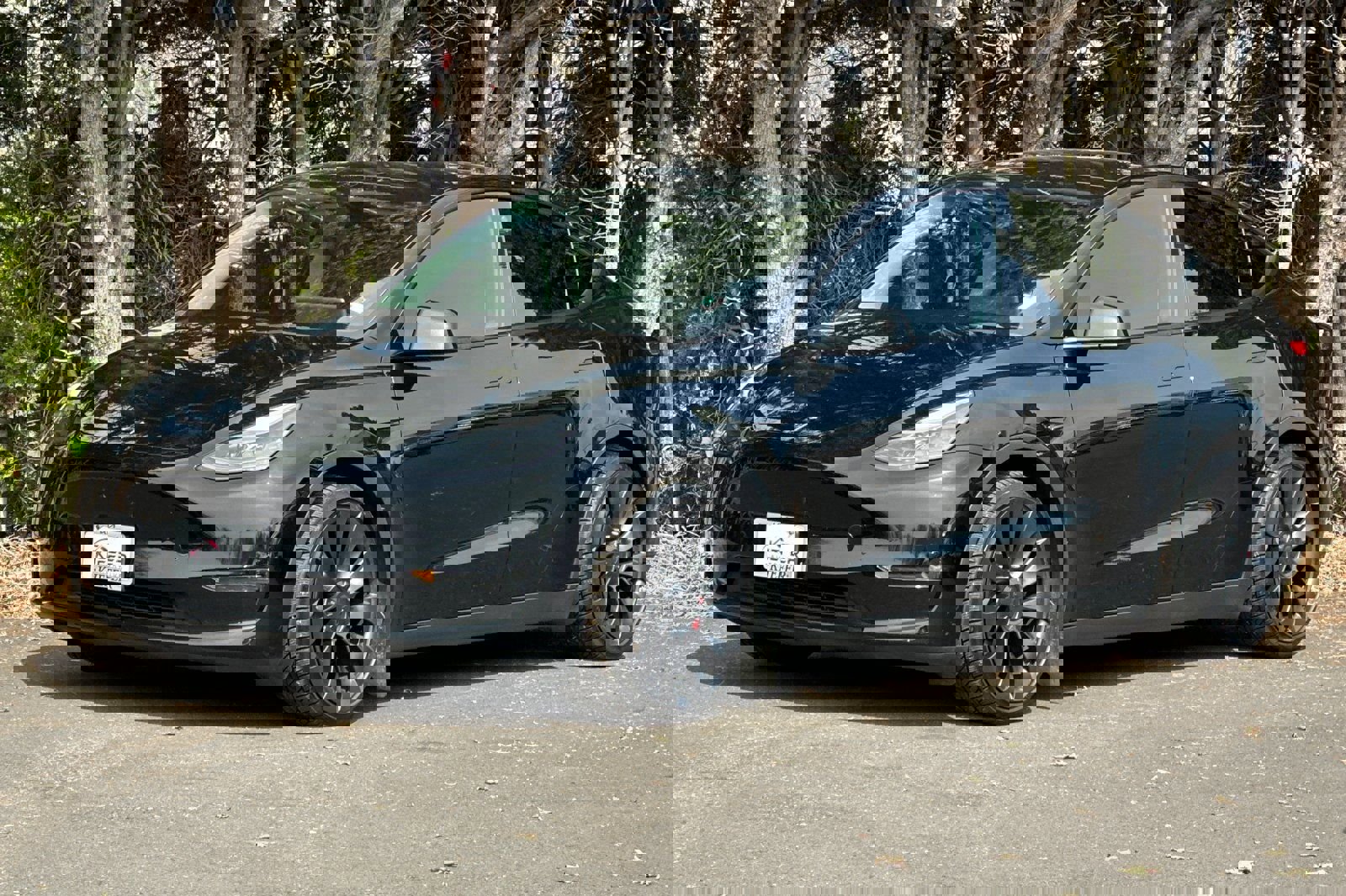 Used 2023 Tesla Model Y Performance image 8