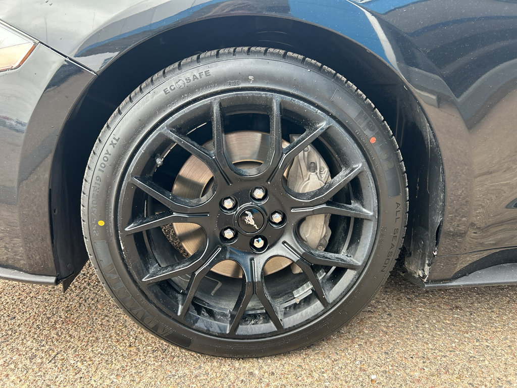 Used 2019 Ford Mustang Coupe w/ Ecoboost Performance Package RWD image 26