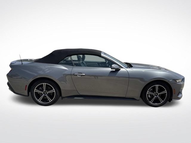 Used 2024 Ford Mustang Premium RWD image 12