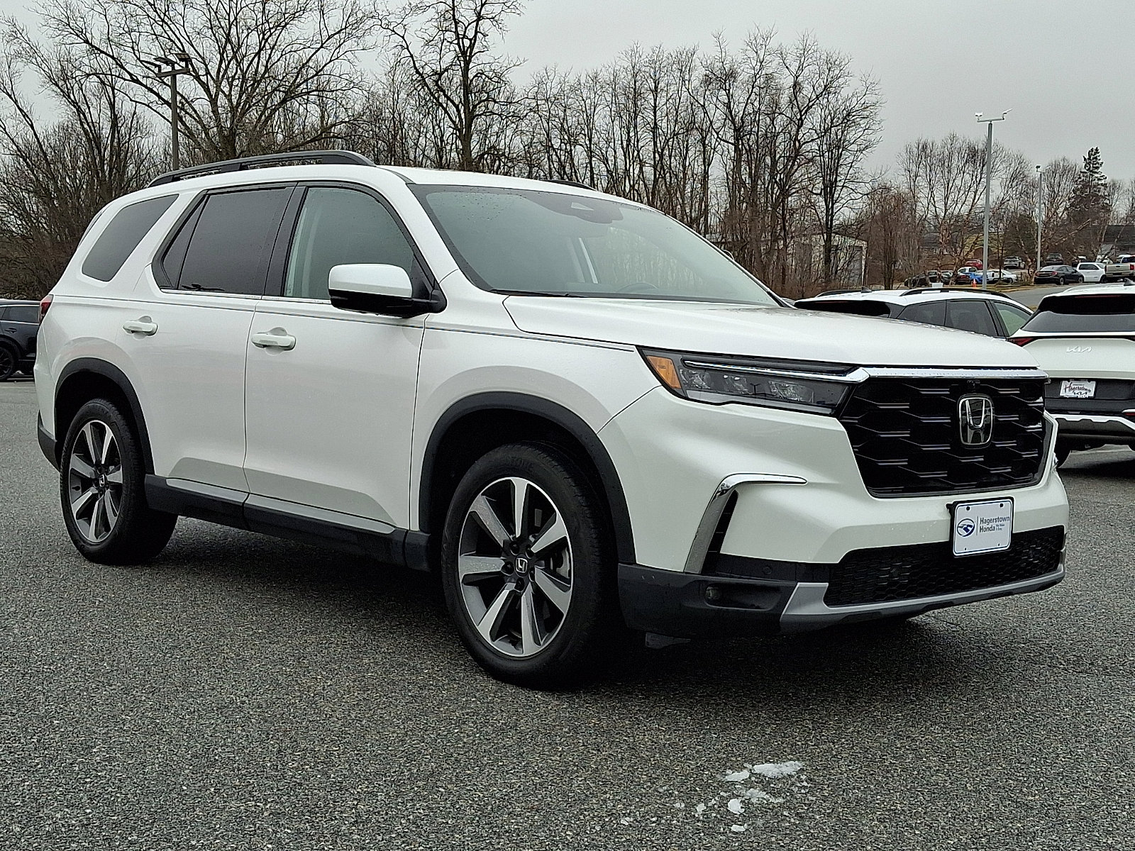 Used 2024 Honda Pilot Elite image 1