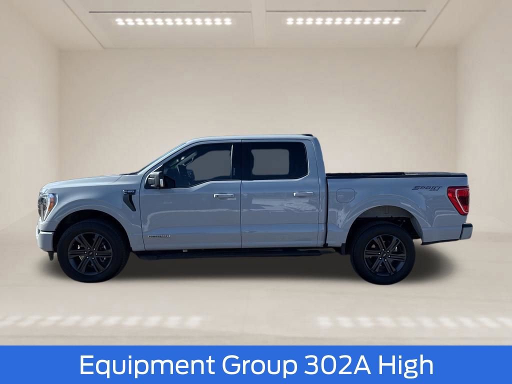 Used 2023 Ford F150 XLT w/ Equipment Group 302A High image 4