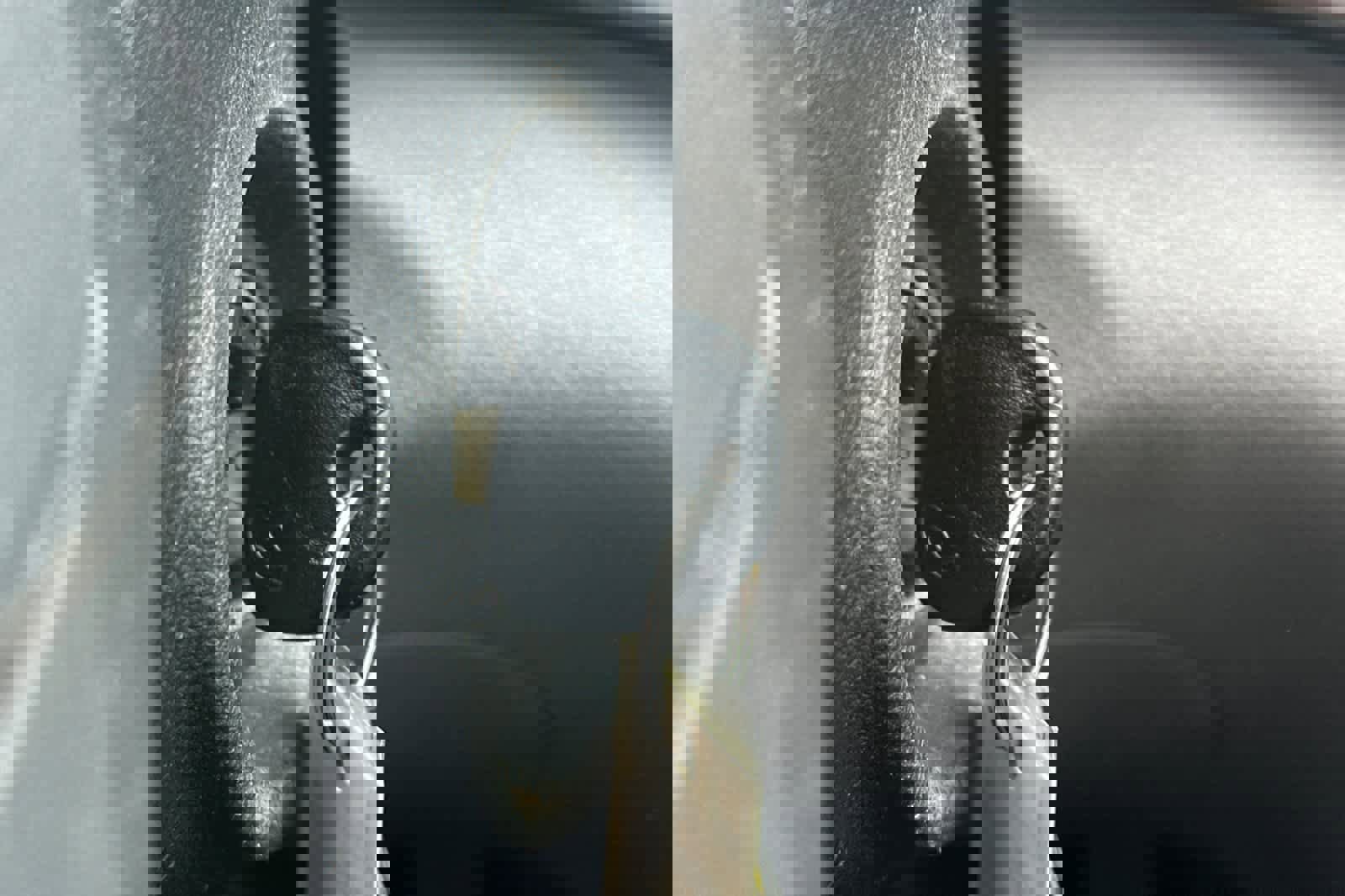 Used 2017 Hyundai Elantra SE image 20