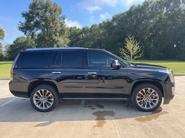 Used 2020 Cadillac Escalade Platinum image 7
