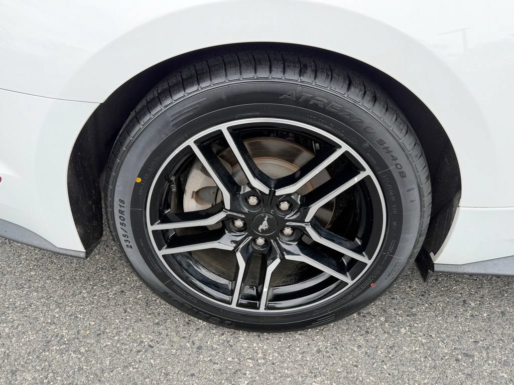 Used 2019 Ford Mustang Coupe w/ Equipment Group 101A RWD image 15