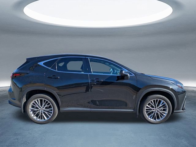 Certified 2023 Lexus NX 350h 350h Premium image 3