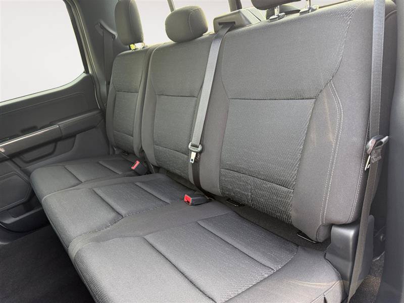 Used 2023 Ford F150 XLT w/ Equipment Group 302A High AWD/4WD image 15