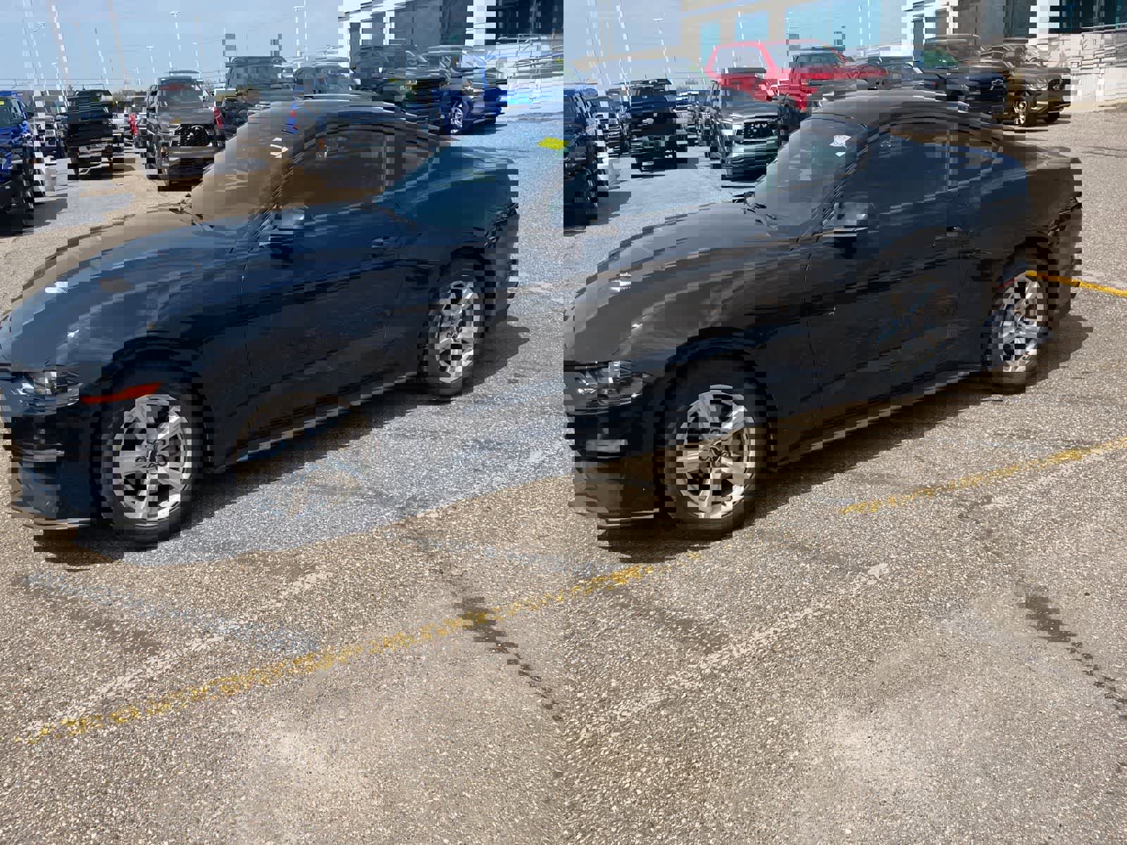 Used 2019 Ford Mustang Coupe RWD image 5