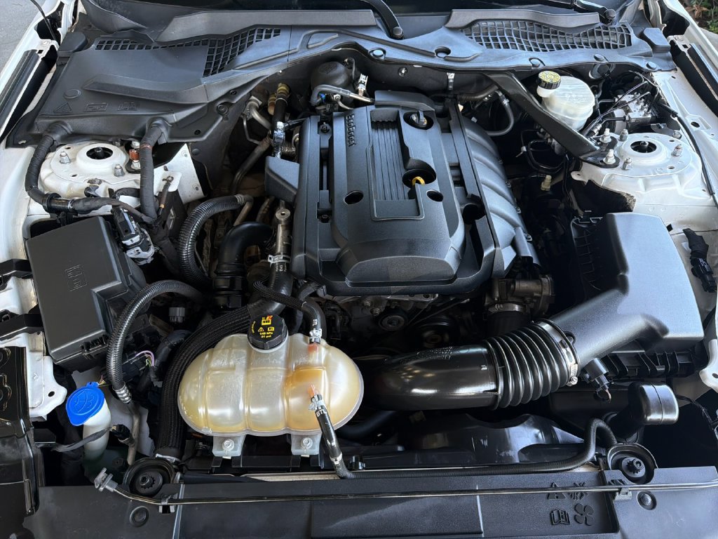 Used 2020 Ford Mustang Premium RWD image 28
