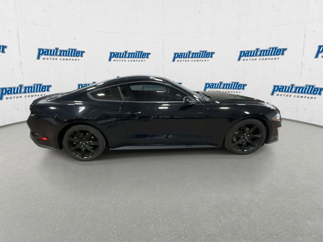 Used 2019 Ford Mustang EcoBoost w/ Black Accent Package image 13