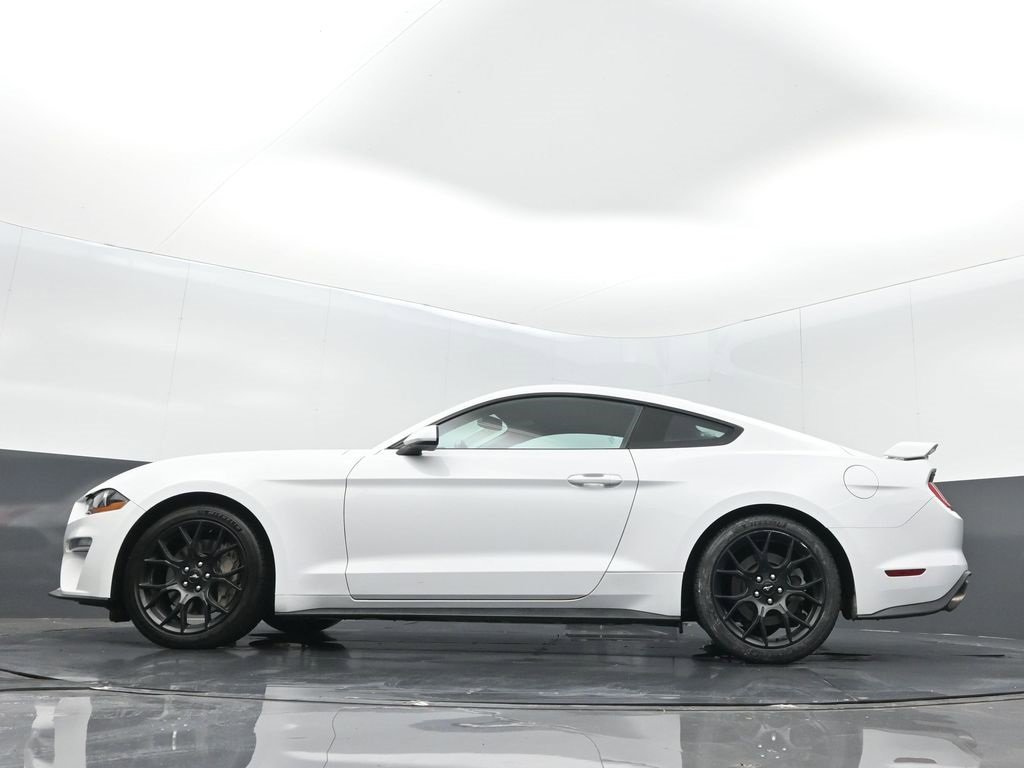 Used 2019 Ford Mustang Coupe w/ Ecoboost Performance Package image 14