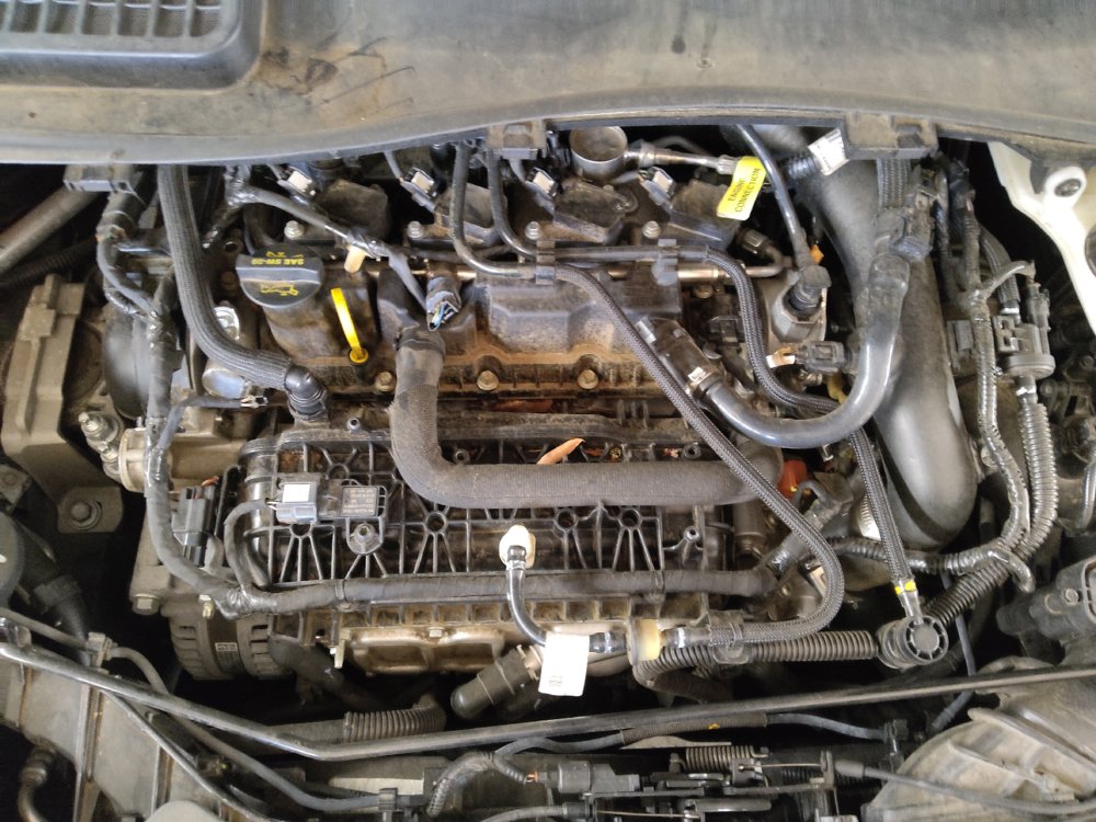 Used 2019 Ford Escape SEL FWD image 30