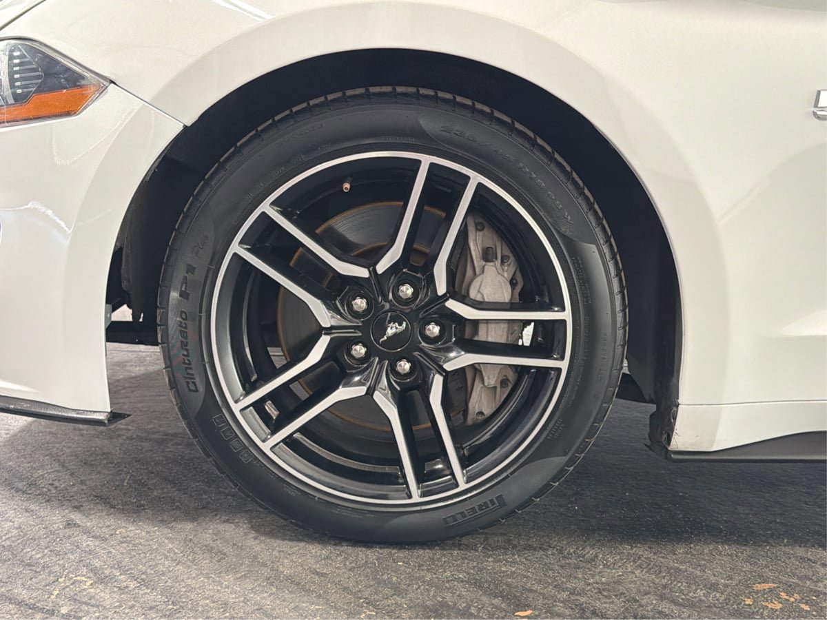 Used 2019 Ford Mustang GT Premium w/ Equipment Group 401A RWD image 13