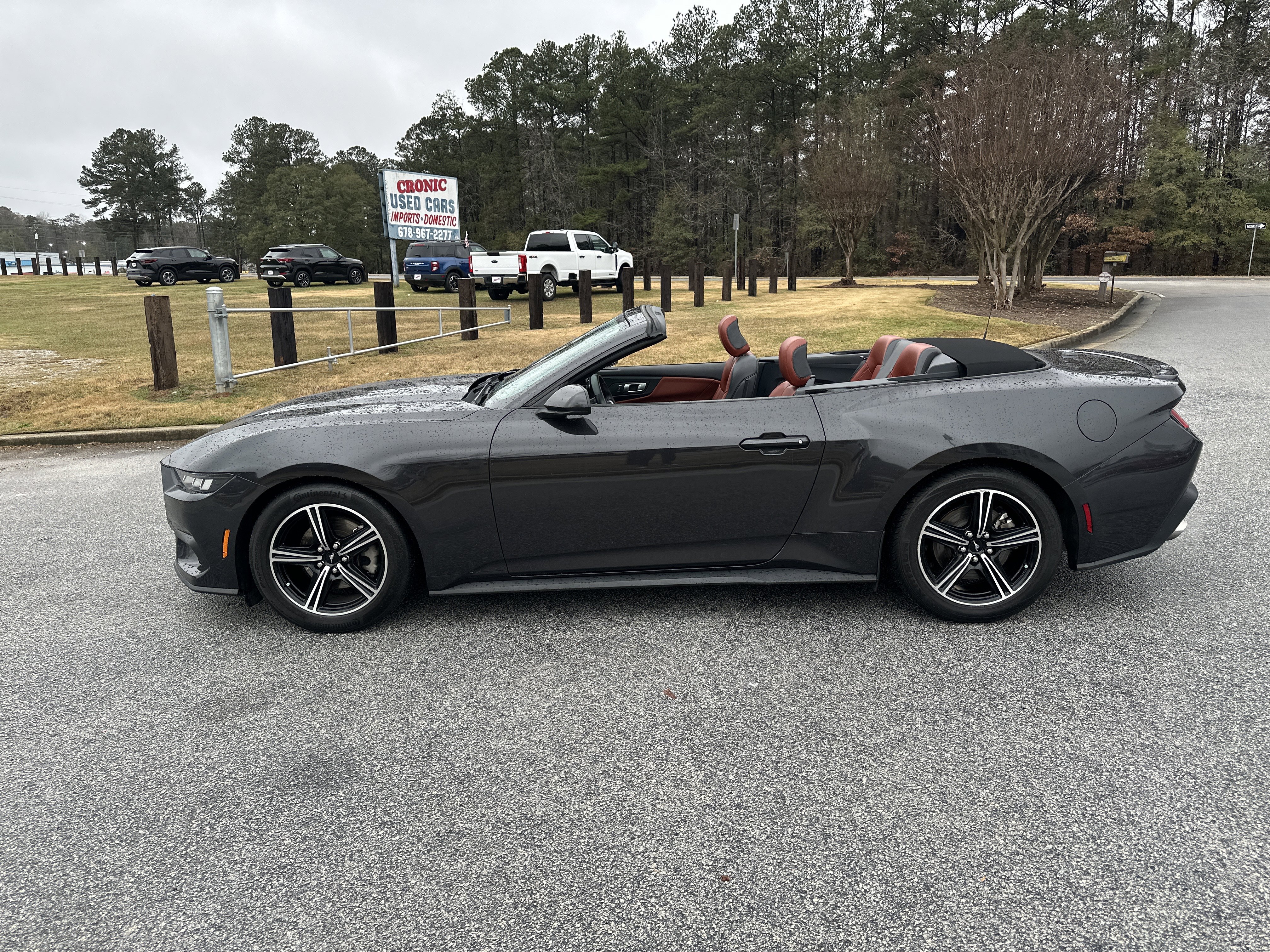 Used 2024 Ford Mustang Premium image 8