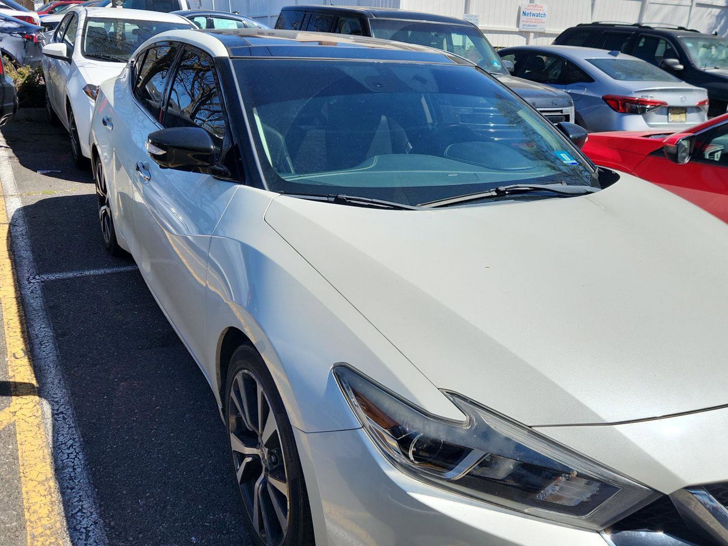 Used 2017 Nissan Maxima Platinum image 2
