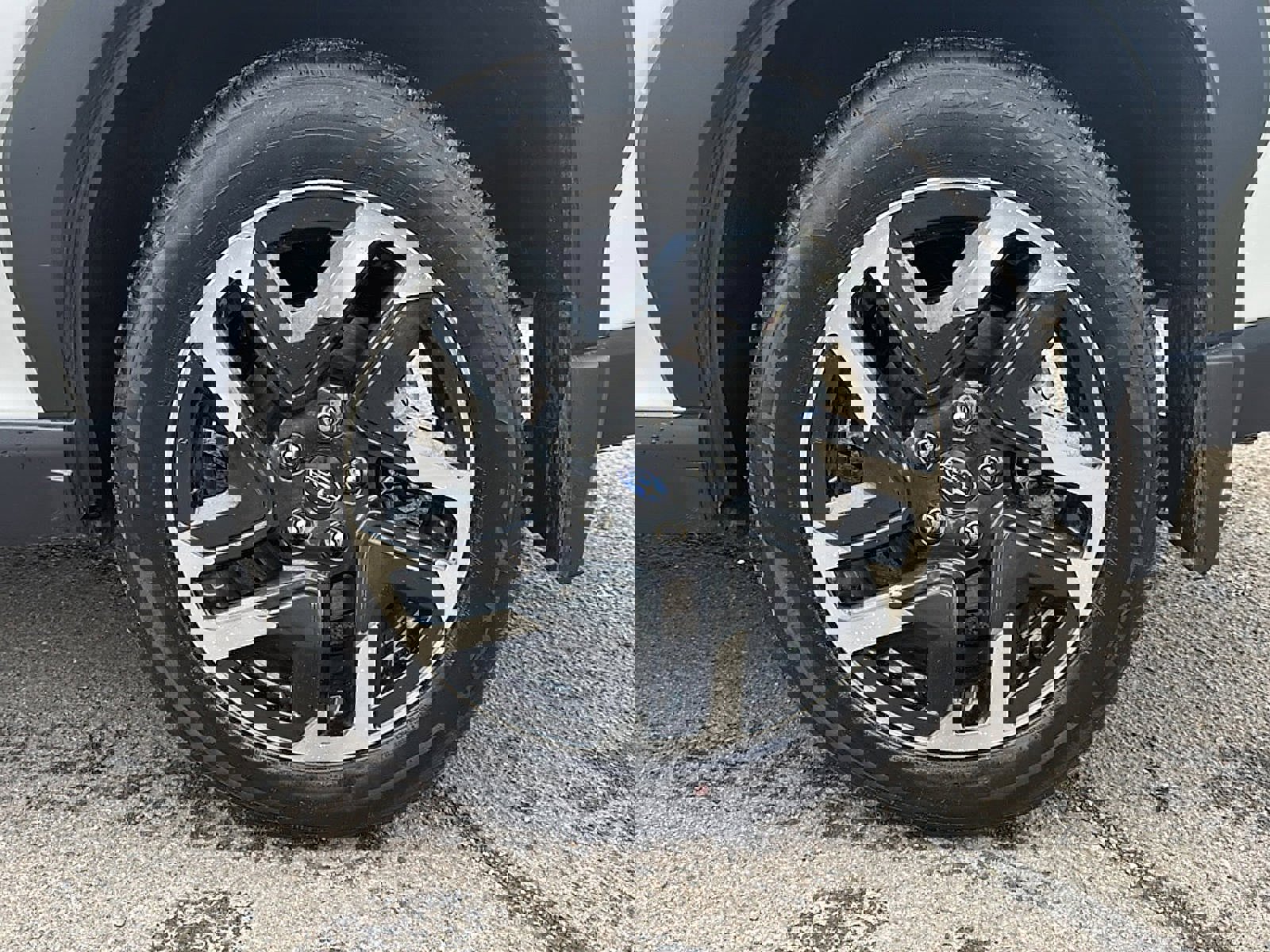 Used 2025 Subaru Forester Limited w/ Protection Package (1PH) image 41