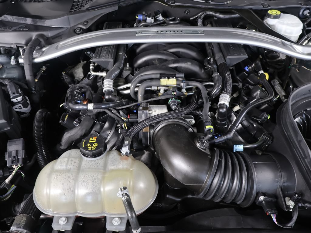 Used 2019 Ford Mustang Bullitt RWD image 21