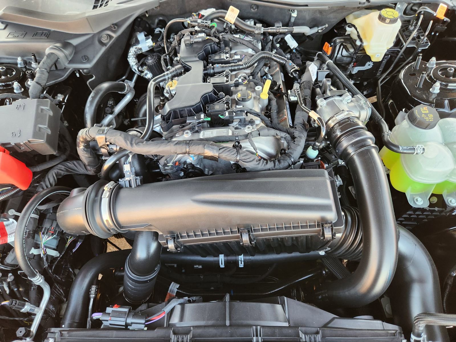 New 2026 Ford Mustang Coupe w/ Mustang Nite Pony Package image 26