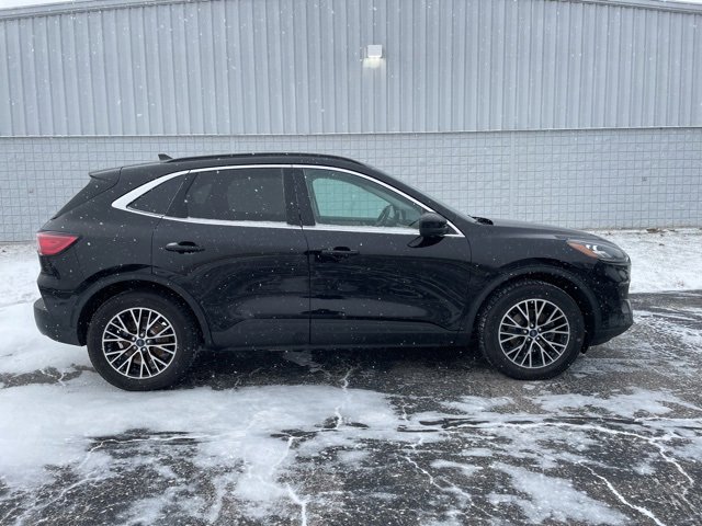 Used 2022 Ford Escape Titanium w/ Titanium Premium Package image 17