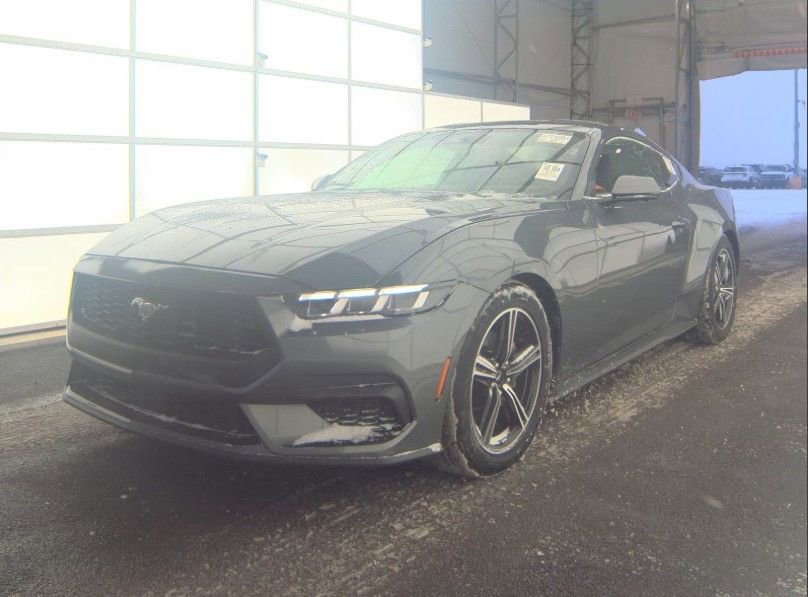 Used 2024 Ford Mustang Premium video 1