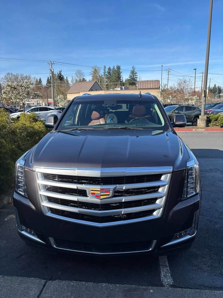 Used 2016 Cadillac Escalade Premium AWD/4WD image 4