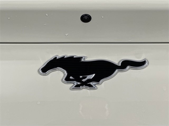 New 2025 Ford Mustang Mach-E Premium w/ Sport Appearance Package image 19