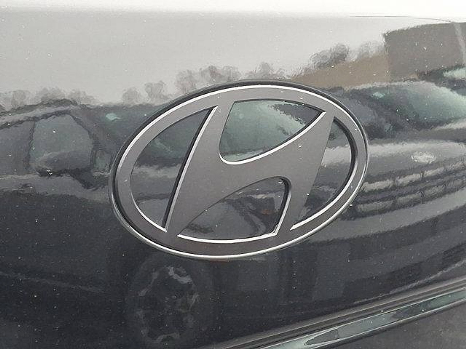 New 2025 Hyundai Santa Fe Calligraphy image 11