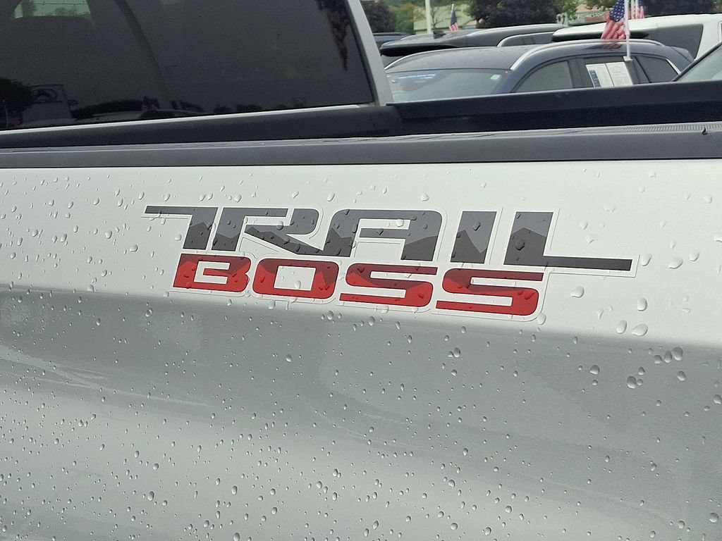 Certified 2019 Chevrolet Silverado 1500 Custom Trail Boss w/ Custom Convenience Package AWD/4WD image 32