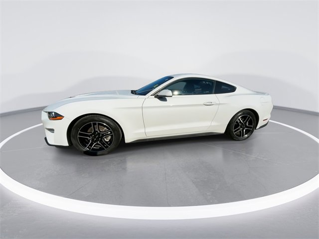 Used 2019 Ford Mustang Coupe w/ Equipment Group 101A image 4