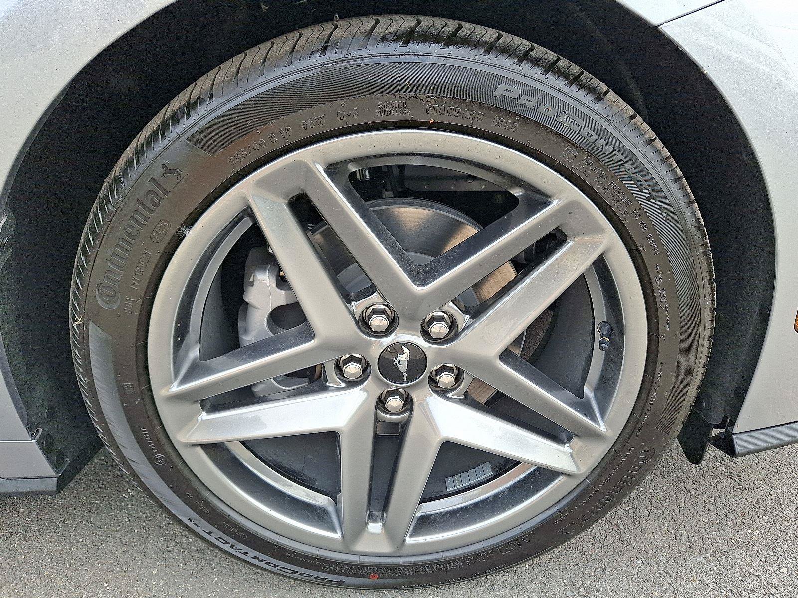 New 2025 Ford Mustang Premium RWD image 6