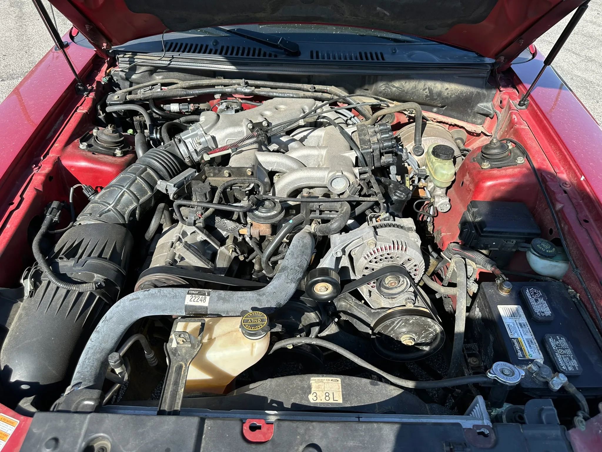 Used 1999 Ford Mustang Coupe image 24