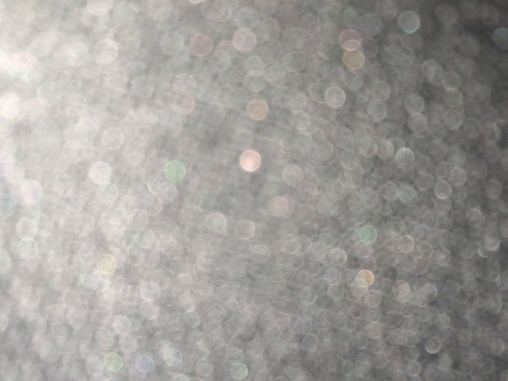 New 2025 Nissan Frontier PRO-4X w/ Interior Protection Package image 22