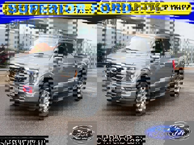 Certified 2022 Ford F150 Platinum w/ Equipment Group 701A High image 1