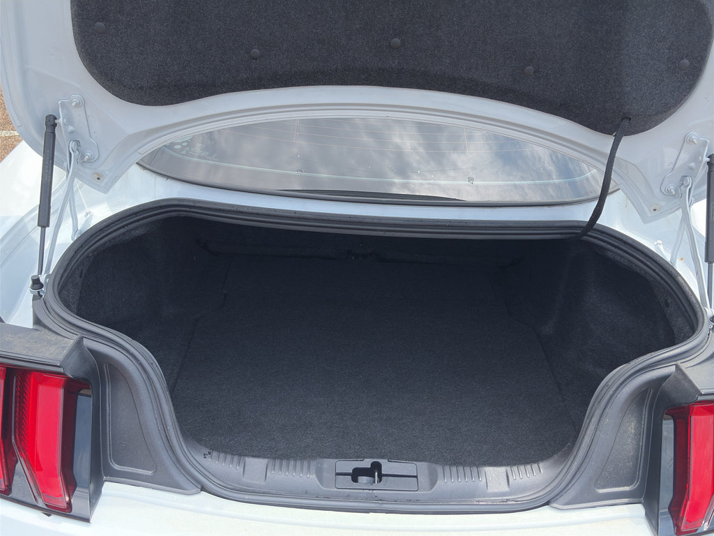 Used 2023 Ford Mustang Premium RWD image 6