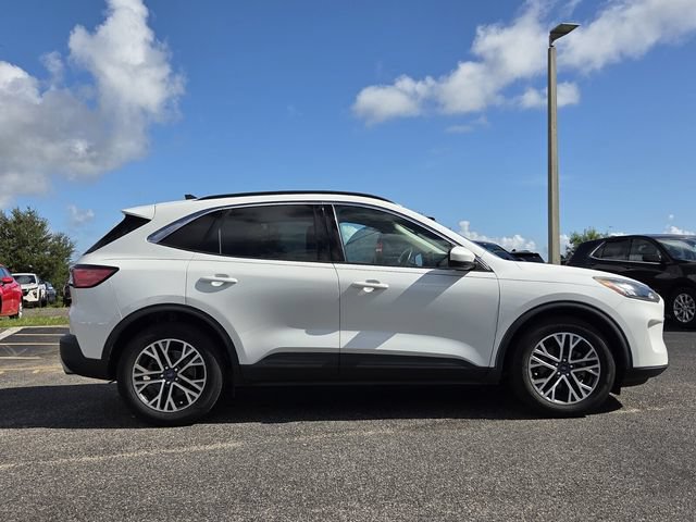 Used 2020 Ford Escape SEL FWD image 7