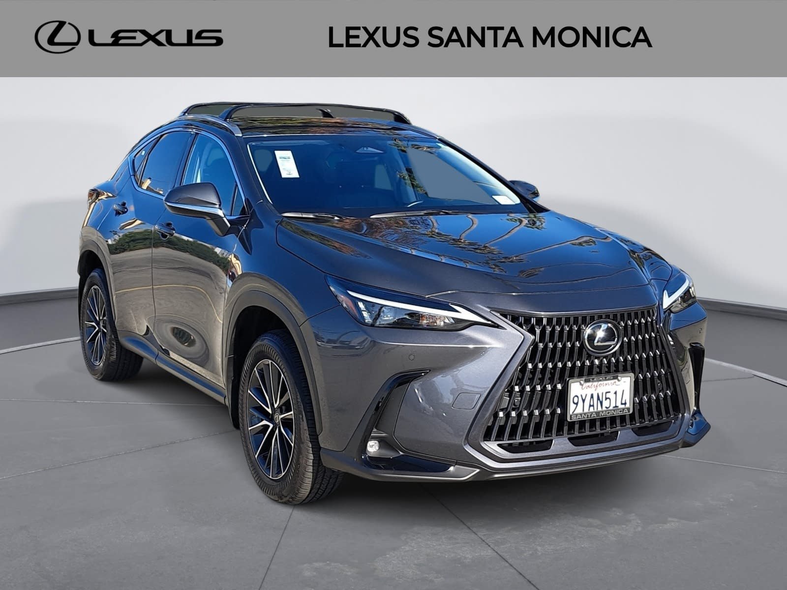 Used 2026 Lexus NX 350h AWD w/ Premium Package image 3