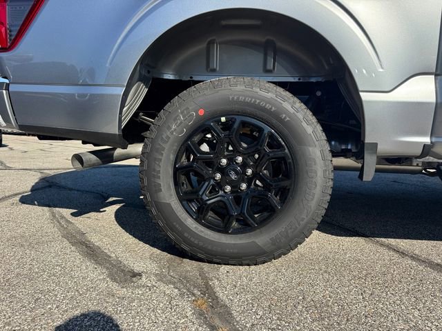 New 2025 Ford F150 XLT w/ Equipment Group 302A MID image 11