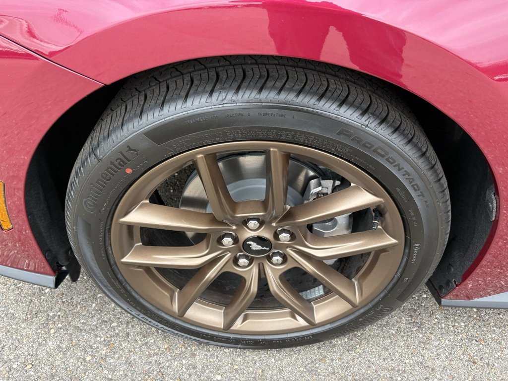 New 2026 Ford Mustang EcoBoost w/ Bronze Appearance Package image 12