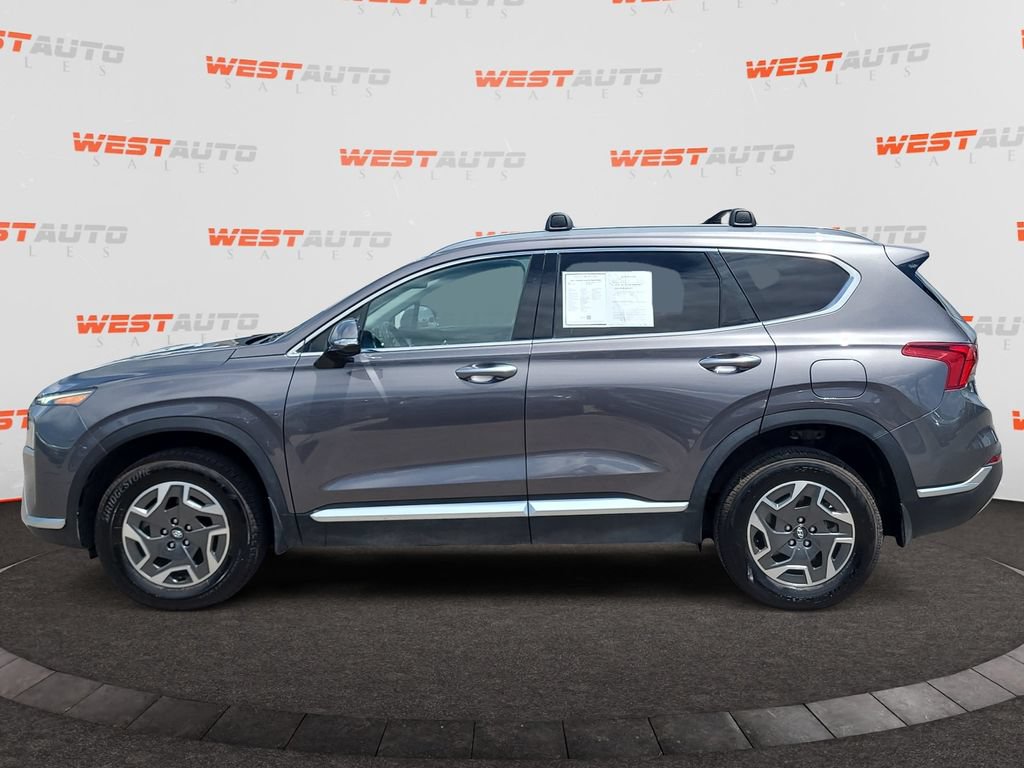 Used 2021 Hyundai Santa Fe Blue AWD/4WD image 2