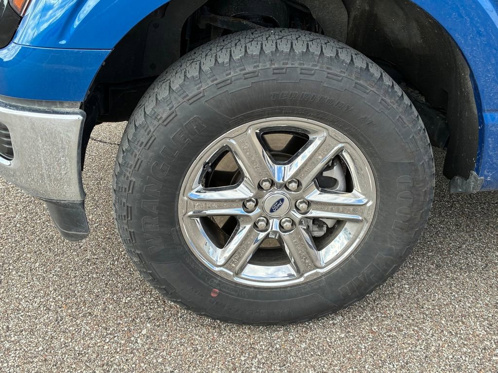 Used 2025 Ford F150 XLT w/ Equipment Group 301A Standard image 11