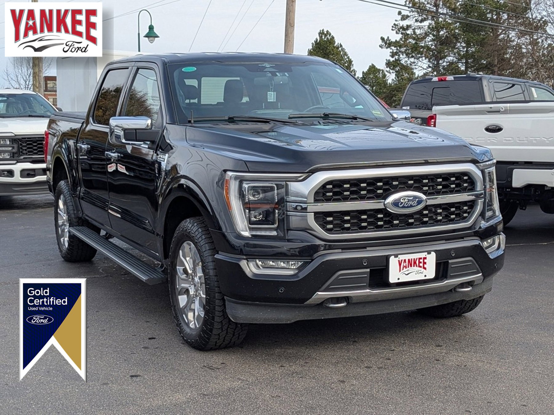 Certified 2023 Ford F150 Platinum